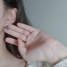 Load image into Gallery viewer, Magical Midnight Teardrops Earrings