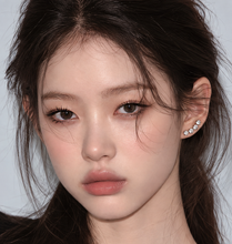 Load image into Gallery viewer, [IU Earrings] Simple Wing Earrings - Silver Color