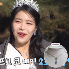 Load image into Gallery viewer, Dreamy Butterfly Semi-Choker Necklace - Light Blue (Oh My Girl Arin, Mamamoo Solar, STAYC Sieun, J Necklace)