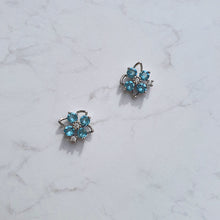 Load image into Gallery viewer, Fairy Blue Flower Earrings