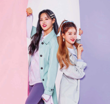 Load image into Gallery viewer, Rosy Feather Earrings (fromis_9 Jiwon, LOONA Olivia Hye Earrings)